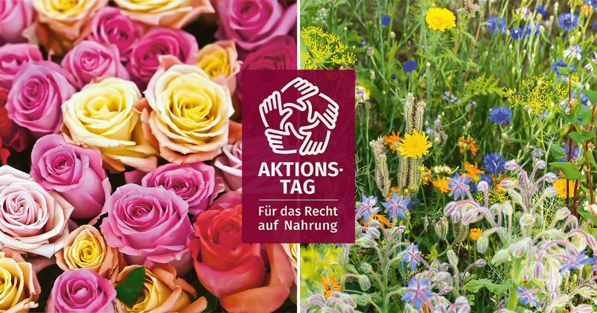 Aktionstag für das Recht auf Nahrung 