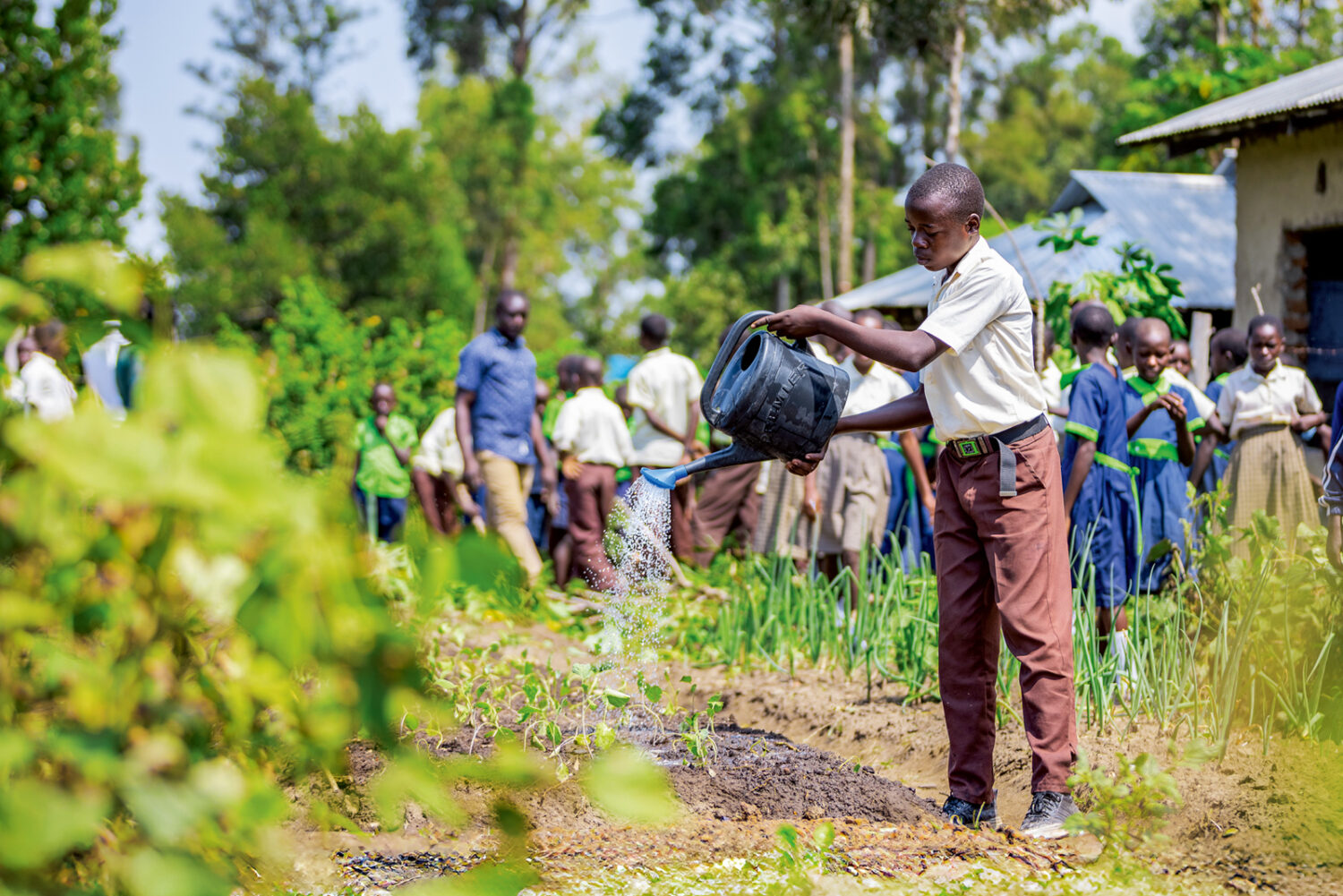 Kenia:  In Schulgärten lernen, was gesund ist