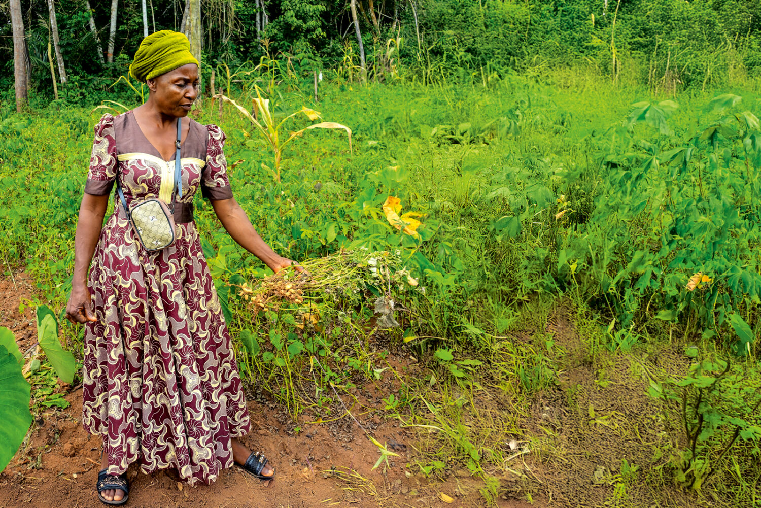 Kamerun:  Traditionelles Saatgut lässt Hoffnung wachsen