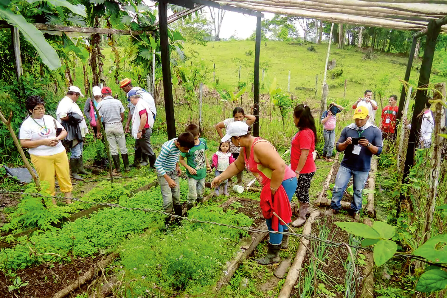 Kolumbien, Amazonas:  Mit Kompost gegen Armut im Regenwald