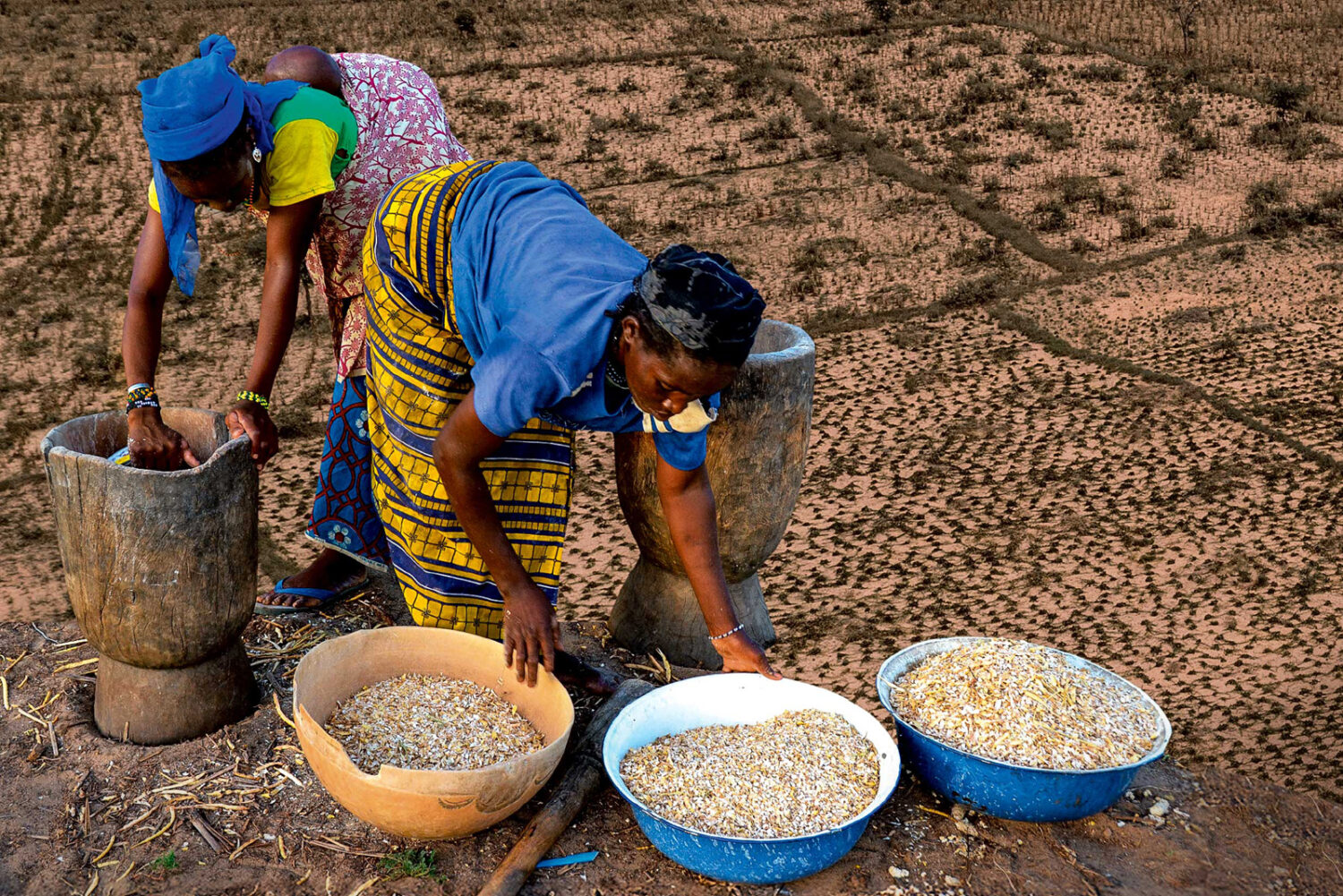 Niger:  Wenn die Wüste grünt: erfolgreiche Ernten trotz Dürren