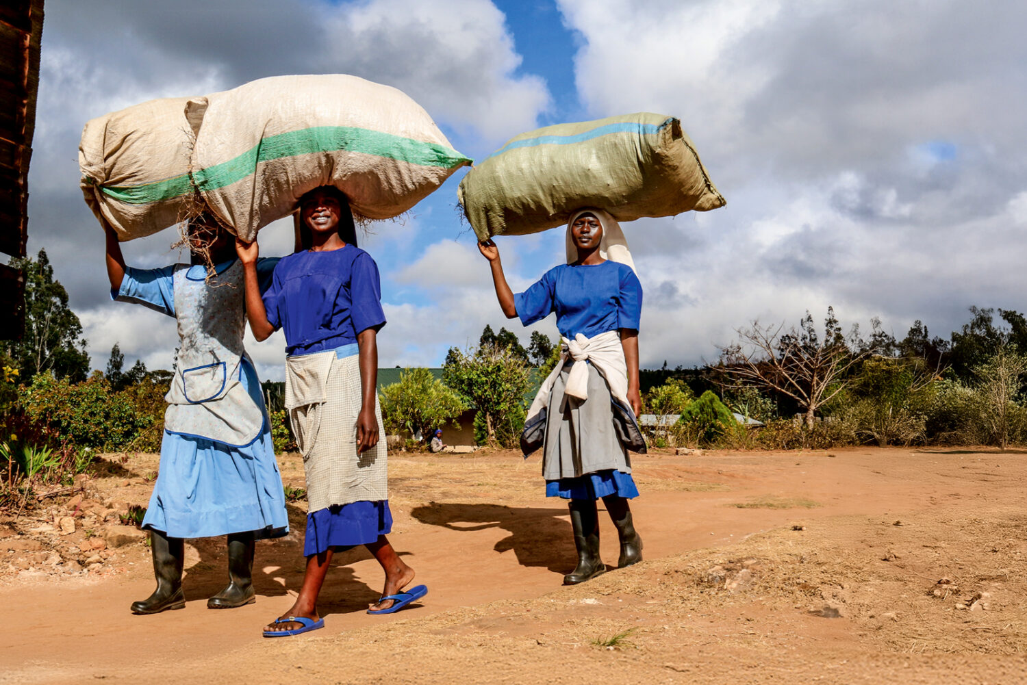 Tansania:  Klimawandel bedroht Klostergarten