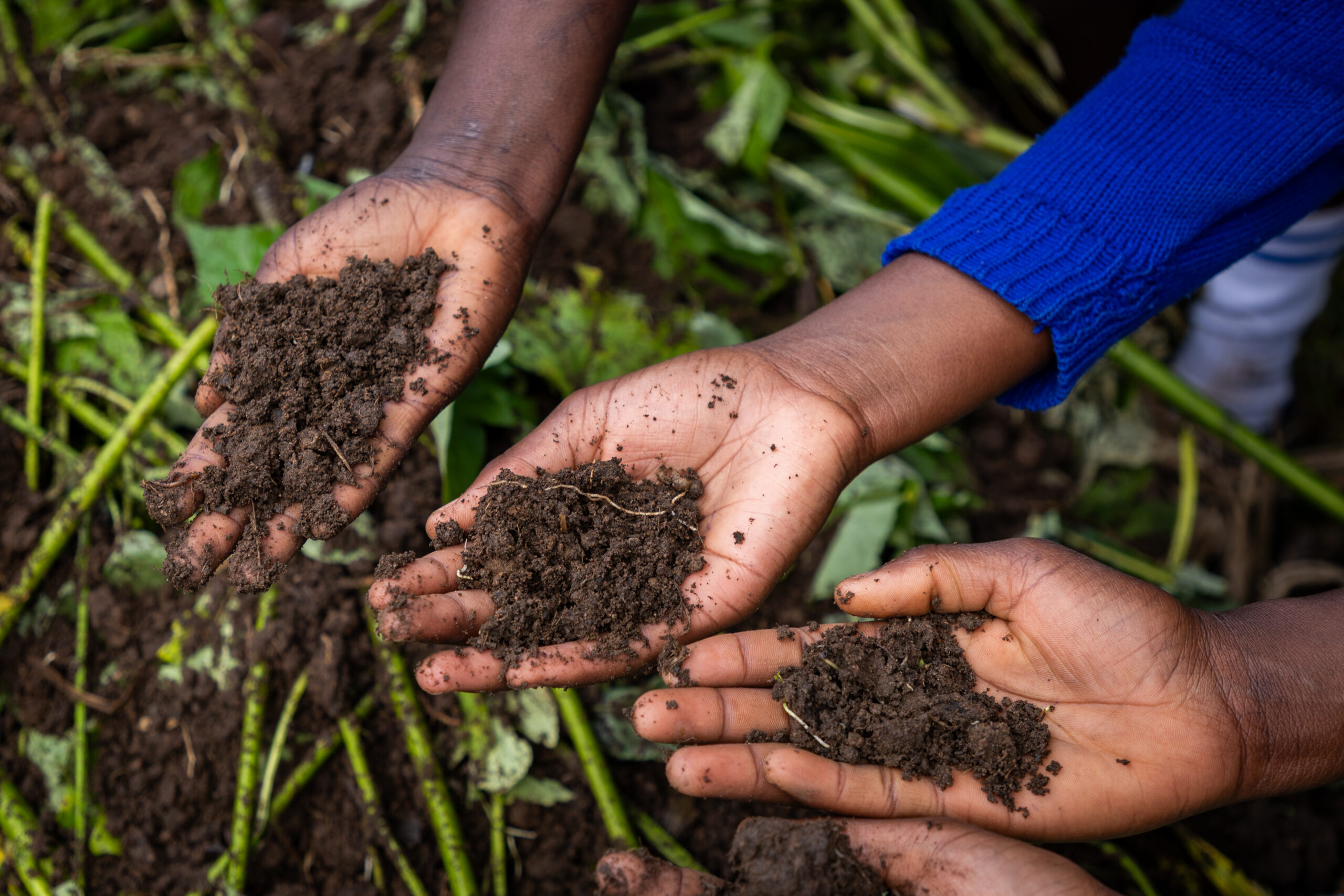 S20 Zyklus 3_4 Collage1